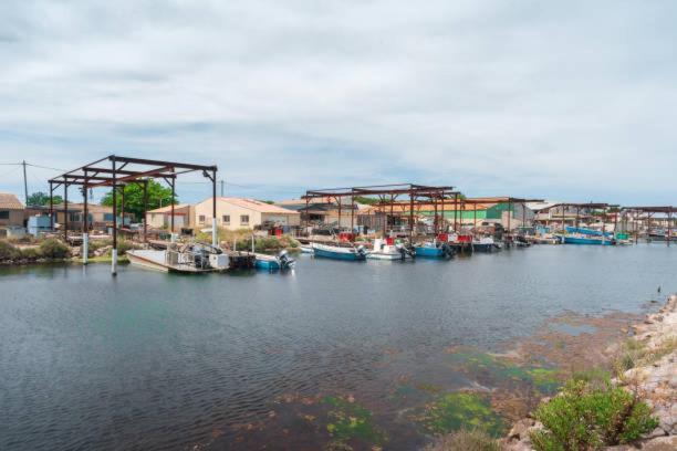 La Casa Tranquilia Chez Vero Et Jj Studio A Marseillan Eksteriør bilde